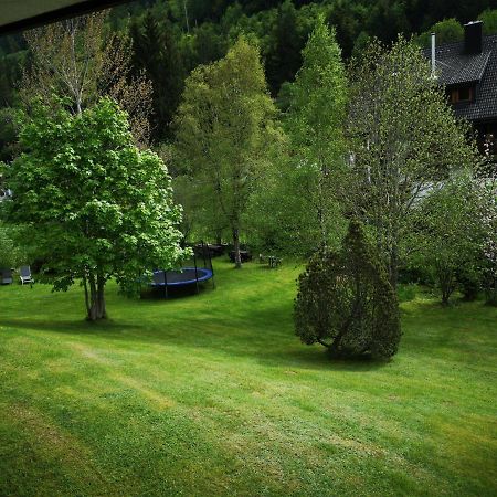 B1 Albmatte-Fewo Sauna, Hallenbad Aussenbecken Massagen Nebenan Menzenschwand Bagian luar foto