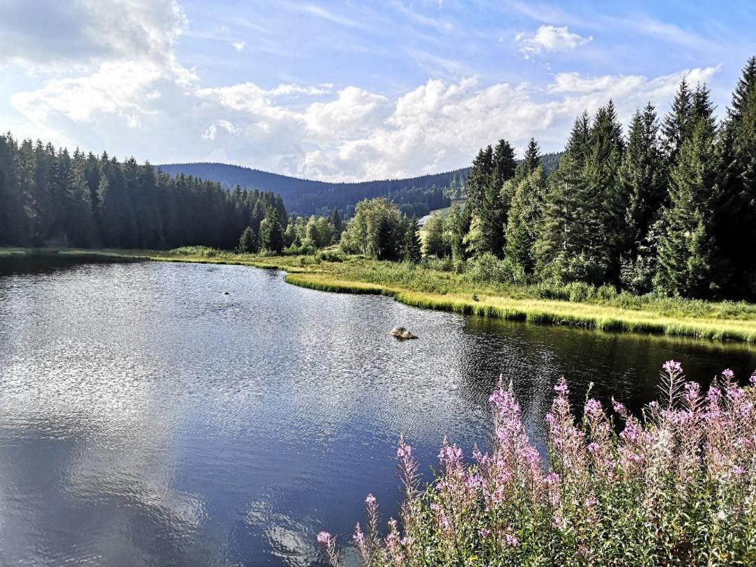 B1 Albmatte-Fewo Sauna, Hallenbad Aussenbecken Massagen Nebenan Menzenschwand Bagian luar foto