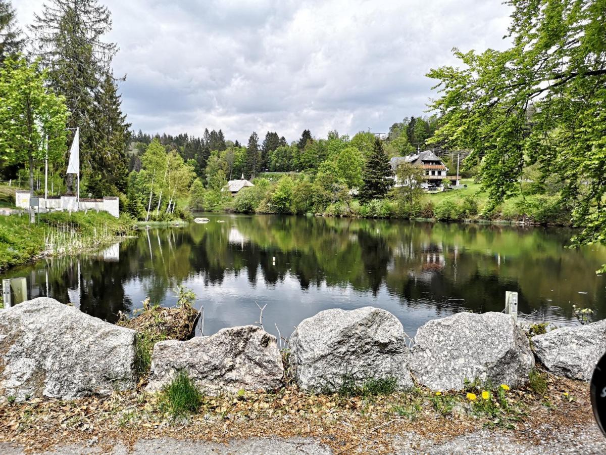 B1 Albmatte-Fewo Sauna, Hallenbad Aussenbecken Massagen Nebenan Menzenschwand Bagian luar foto