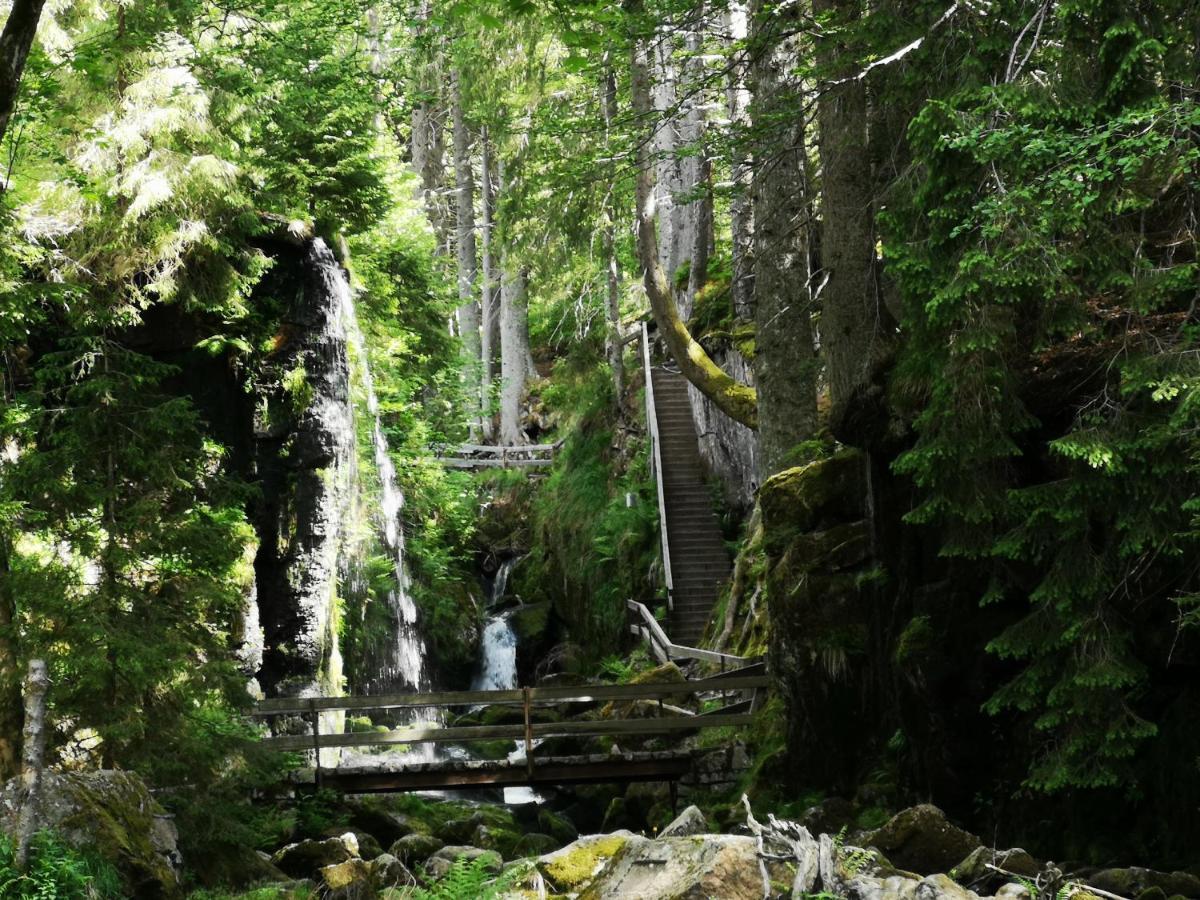 B1 Albmatte-Fewo Sauna, Hallenbad Aussenbecken Massagen Nebenan Menzenschwand Bagian luar foto