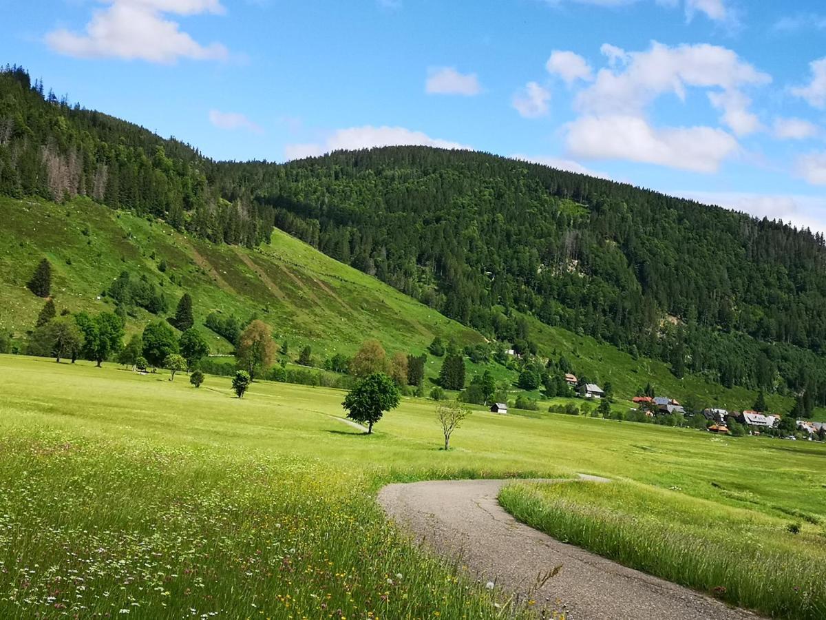 B1 Albmatte-Fewo Sauna, Hallenbad Aussenbecken Massagen Nebenan Menzenschwand Bagian luar foto