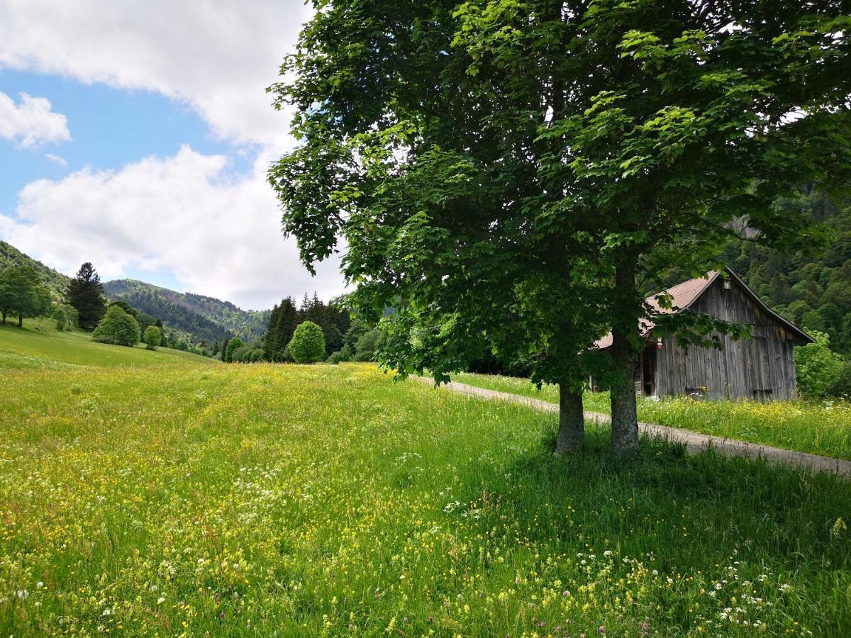 B1 Albmatte-Fewo Sauna, Hallenbad Aussenbecken Massagen Nebenan Menzenschwand Bagian luar foto