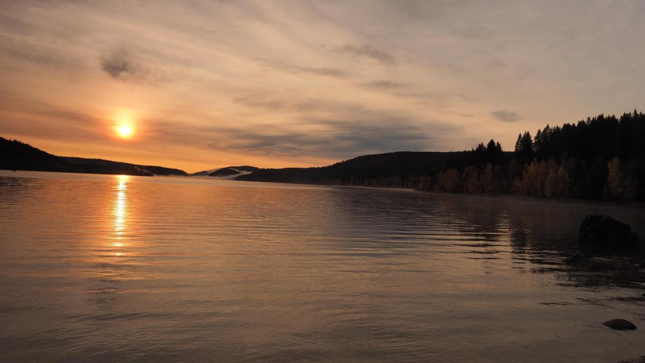 B1 Albmatte-Fewo Sauna, Hallenbad Aussenbecken Massagen Nebenan Menzenschwand Bagian luar foto