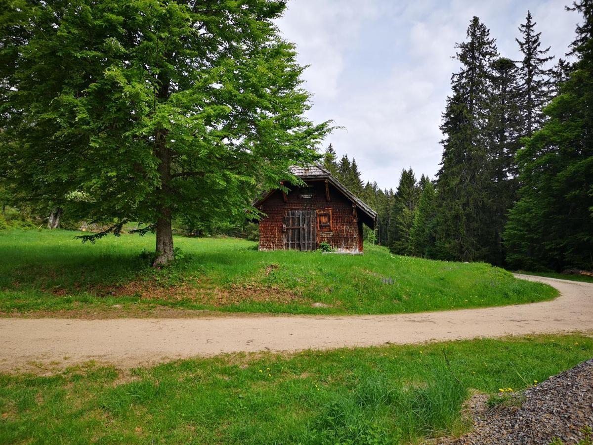 B1 Albmatte-Fewo Sauna, Hallenbad Aussenbecken Massagen Nebenan Menzenschwand Bagian luar foto