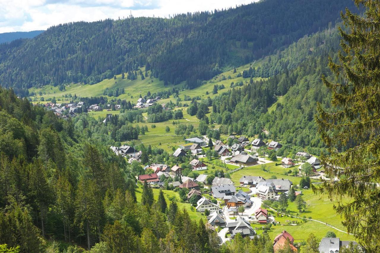 B1 Albmatte-Fewo Sauna, Hallenbad Aussenbecken Massagen Nebenan Menzenschwand Bagian luar foto