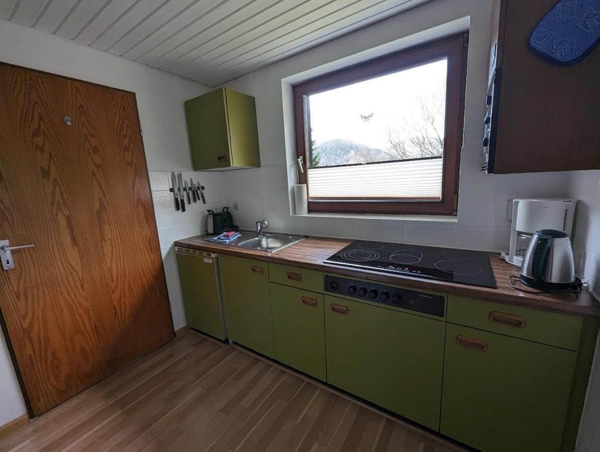 B1 Albmatte-Fewo Sauna, Hallenbad Aussenbecken Massagen Nebenan Menzenschwand Bagian luar foto