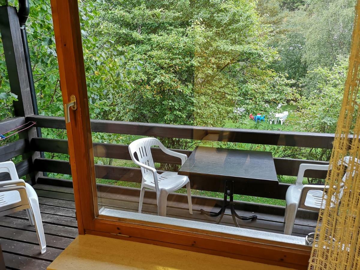 B1 Albmatte-Fewo Sauna, Hallenbad Aussenbecken Massagen Nebenan Menzenschwand Bagian luar foto