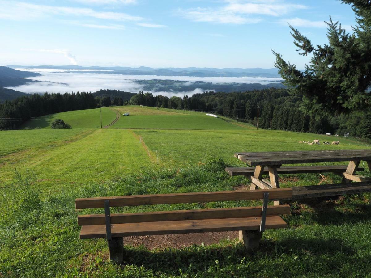 B1 Albmatte-Fewo Sauna, Hallenbad Aussenbecken Massagen Nebenan Menzenschwand Bagian luar foto