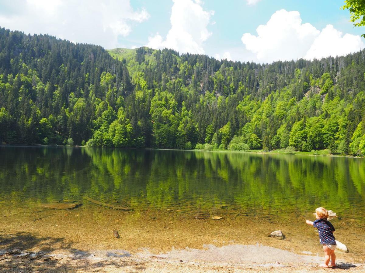 B1 Albmatte-Fewo Sauna, Hallenbad Aussenbecken Massagen Nebenan Menzenschwand Bagian luar foto