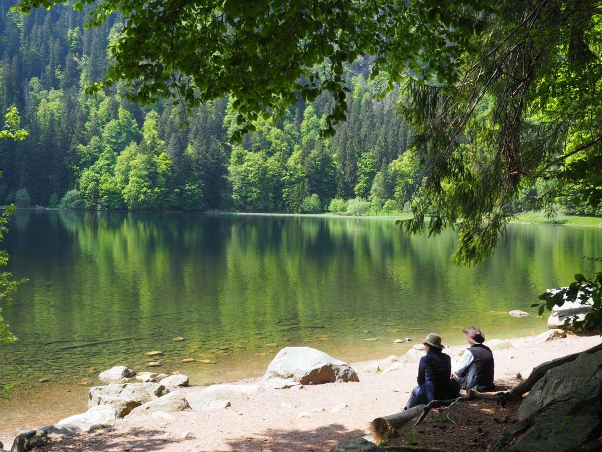 B1 Albmatte-Fewo Sauna, Hallenbad Aussenbecken Massagen Nebenan Menzenschwand Bagian luar foto