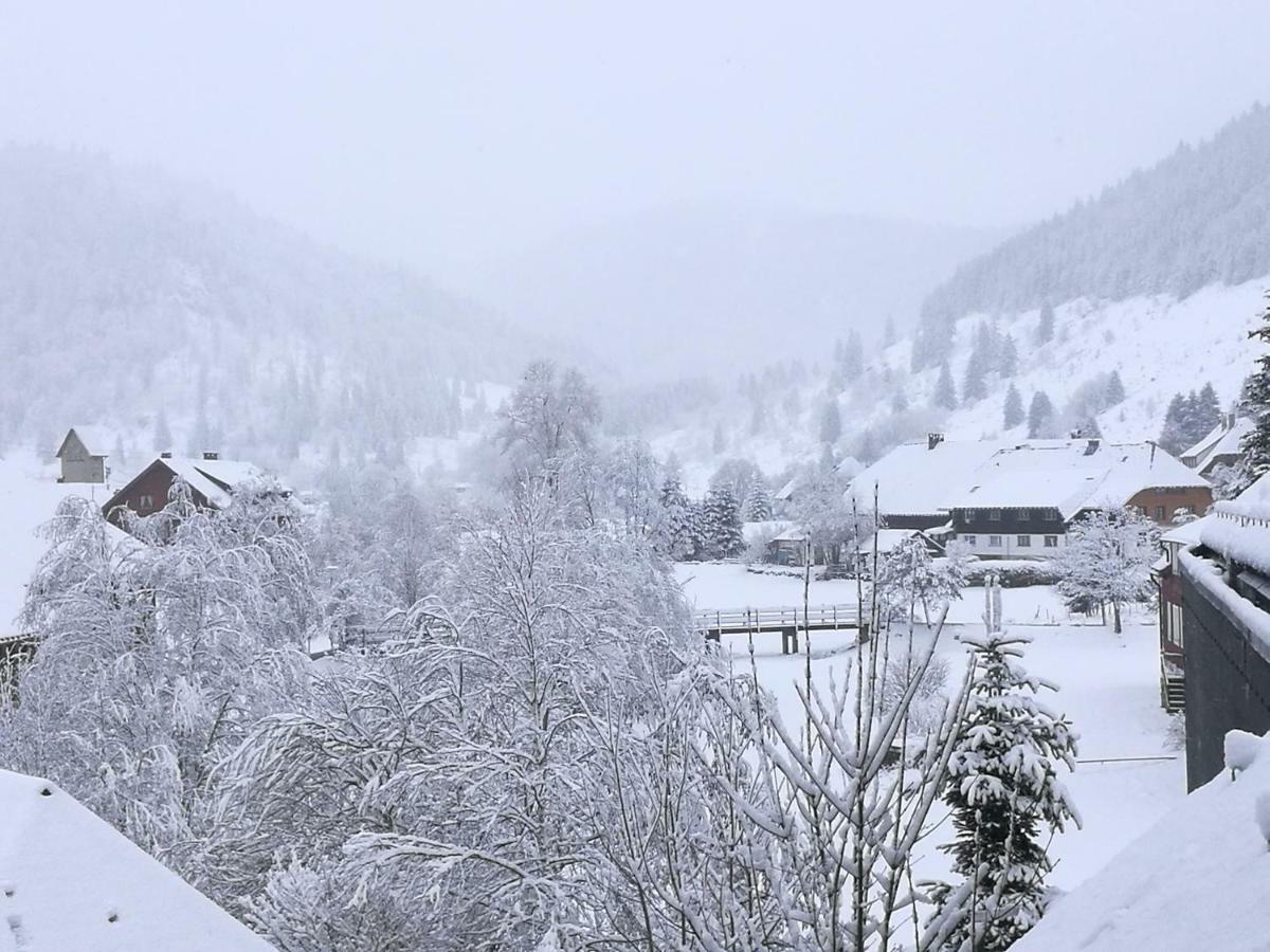 B1 Albmatte-Fewo Sauna, Hallenbad Aussenbecken Massagen Nebenan Menzenschwand Bagian luar foto