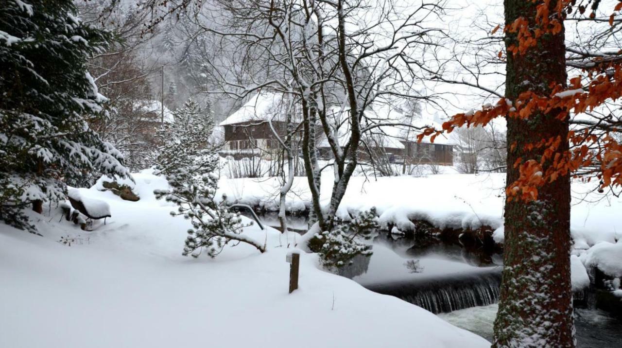 B1 Albmatte-Fewo Sauna, Hallenbad Aussenbecken Massagen Nebenan Menzenschwand Bagian luar foto