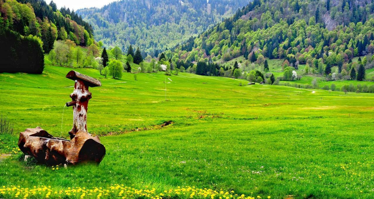 B1 Albmatte-Fewo Sauna, Hallenbad Aussenbecken Massagen Nebenan Menzenschwand Bagian luar foto